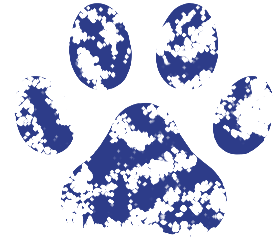pawblue pawblue